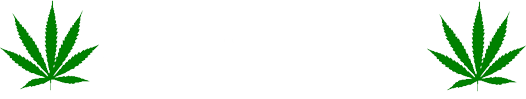 420 Digital Group