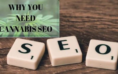 Why you need SEO for your cannabis digital marketing