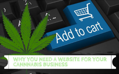 Why you need a professional website for your cannabis business