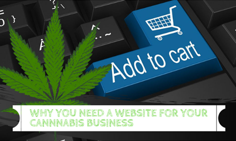Why you need a professional website for your cannabis business